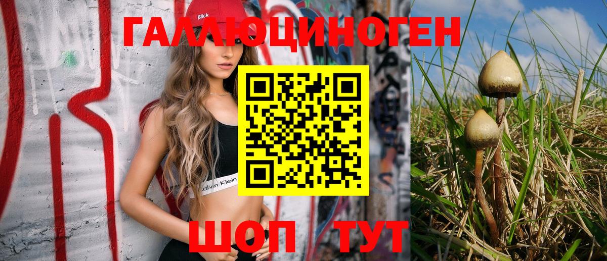 Псилоцибиновые грибы Psilocybine cubensis  Вход с VPN  Сердобск 